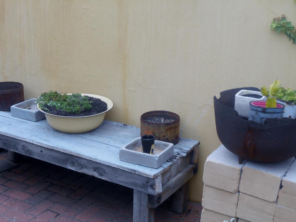 Toscana Cottage Port Elizabeth Esterno foto